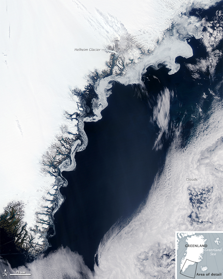 Sea Ice near Greenland
