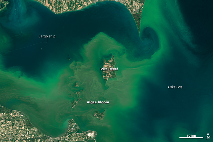 Algae Boom in Lake Erie