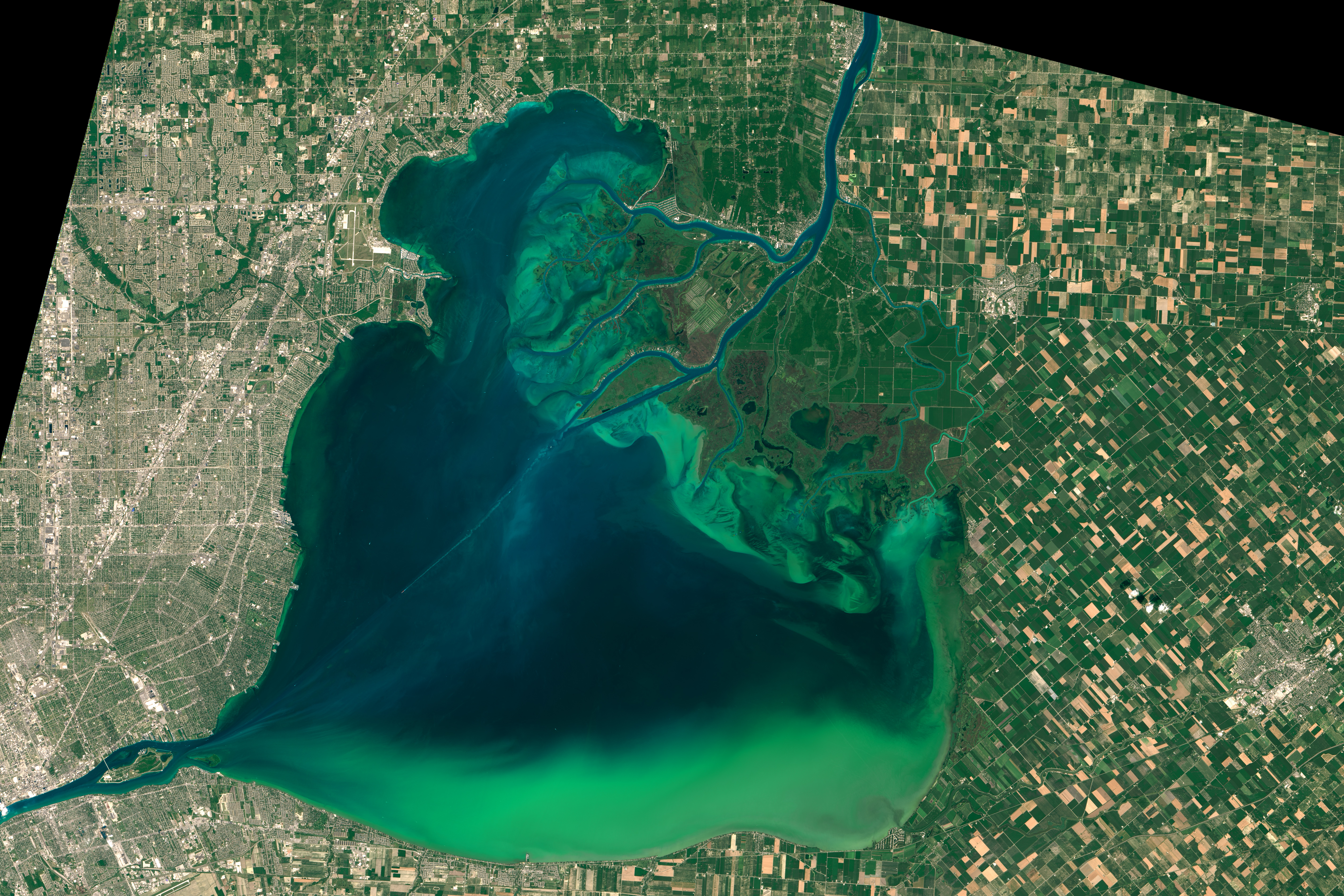 Algae Boom in Lake Erie - related image preview