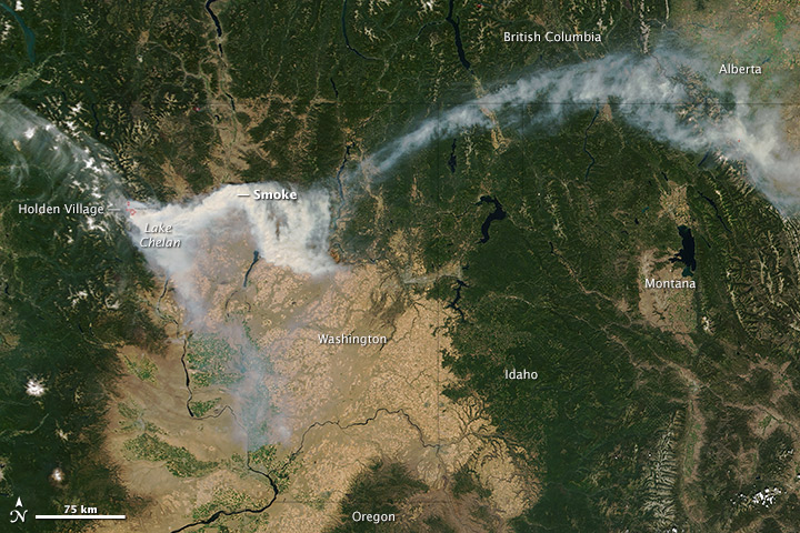 Wolverine Creek Fire