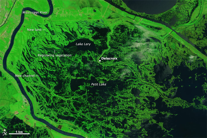 Signs of Katrina Linger in the Marshes - related image preview