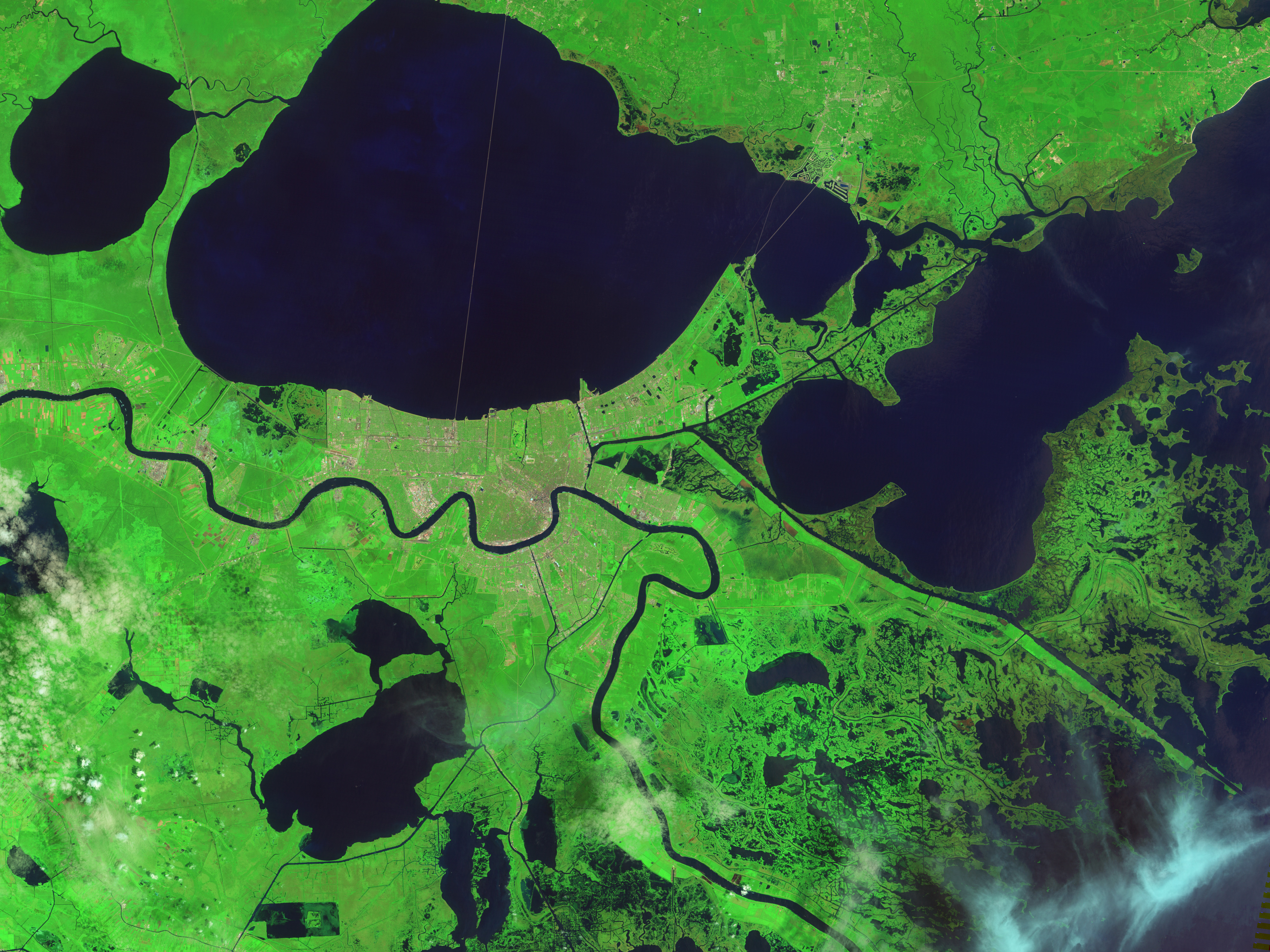 Signs of Katrina Linger in the Marshes - related image preview
