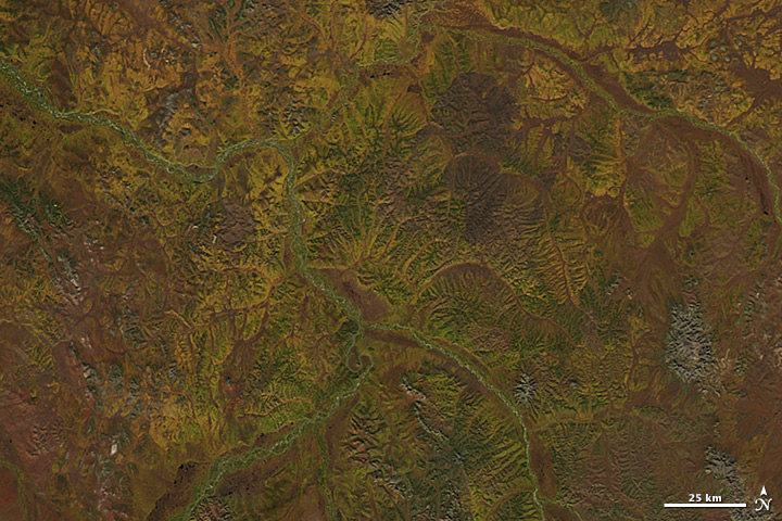 Fall Colors in Eastern Siberia - related image preview