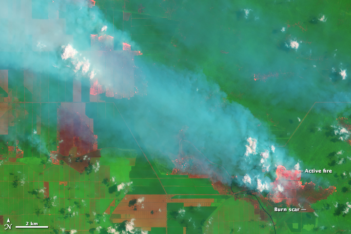Smoke and Fires in Sumatra