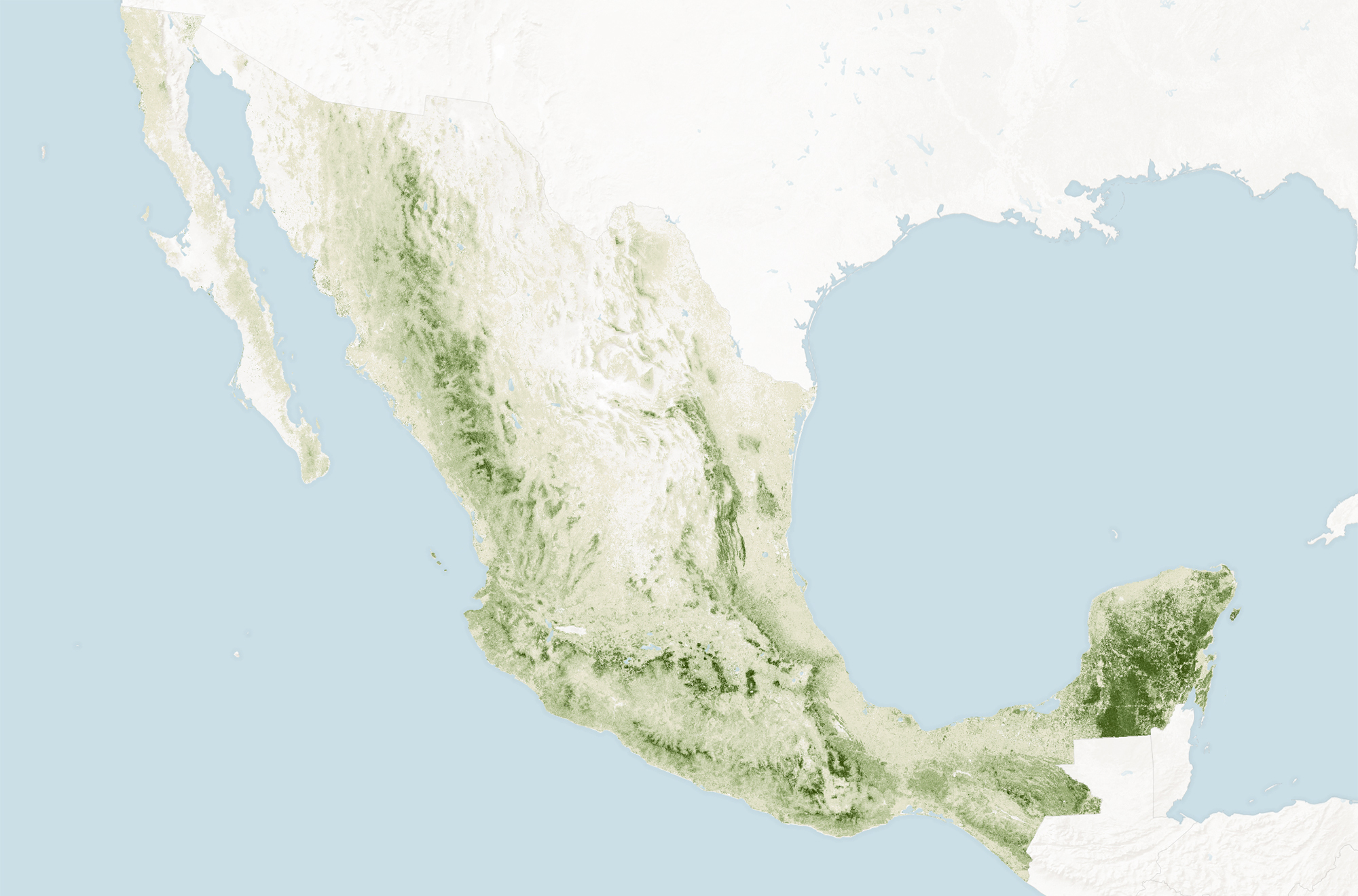 Counting the Carbon in Mexico’s Forests - related image preview