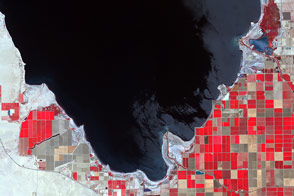 Shrinking Shoreline of the Salton Sea 