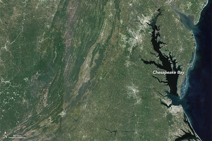 The Chesapeake Watershed - related image preview