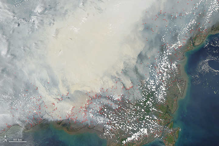 Heavy Smoke Blankets Borneo - related image preview