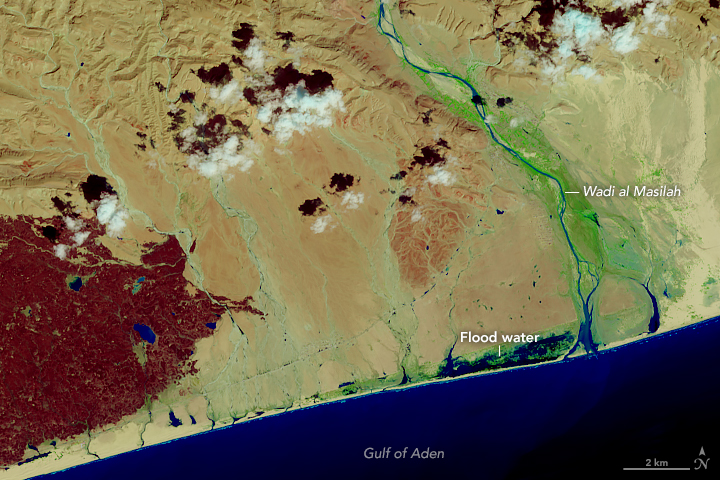  Chapala Drenches the Desert