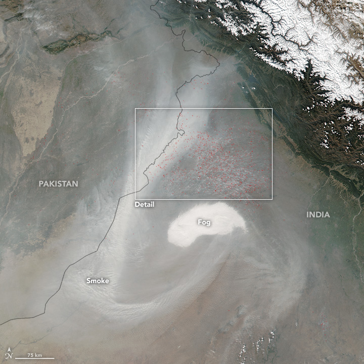 Stubble Burning in Punjab, India