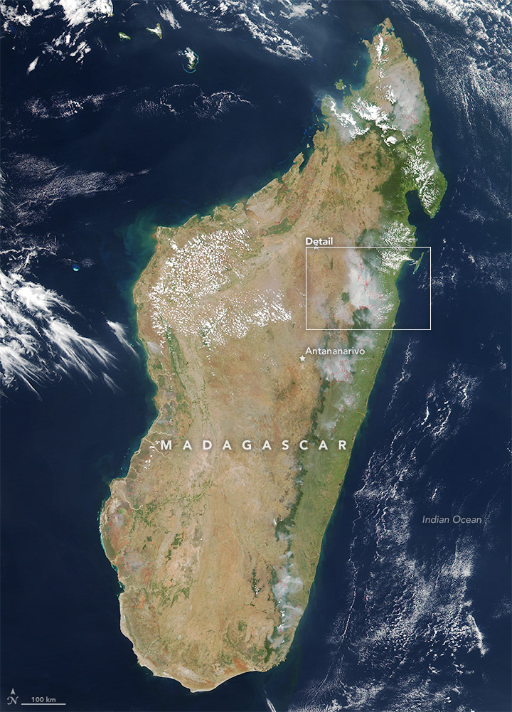 Fires Across Madagascar  - related image preview