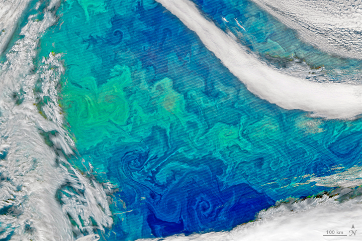 Defying Fall Weather to Explore Ocean Ecosystems - related image preview