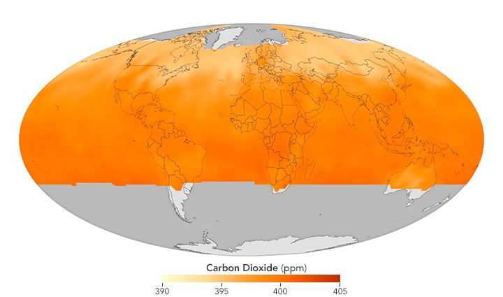 A Year in the Life of Carbon Dioxide