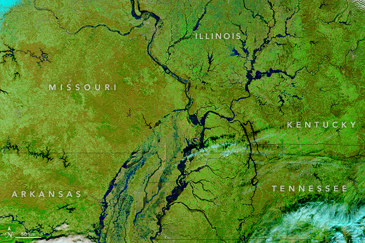 Unseasonable Flooding on the Mississippi River - related image preview