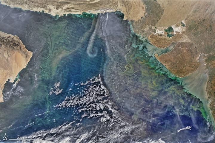 All Stirred Up in the Arabian Sea - related image preview