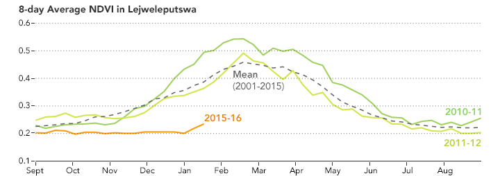 Drought in Southern Africa - related image preview