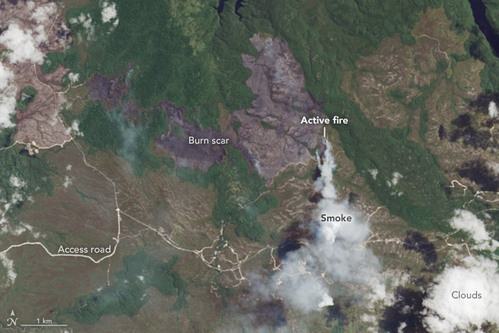 Bushfires in Tasmania - related image preview