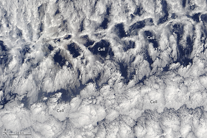 Open- and Closed-Cells over the Pacific - related image preview