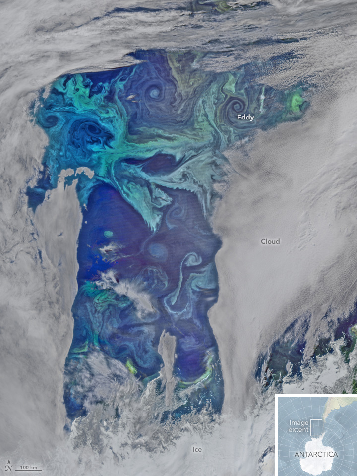Oxygen Factories in the Southern Ocean - related image preview