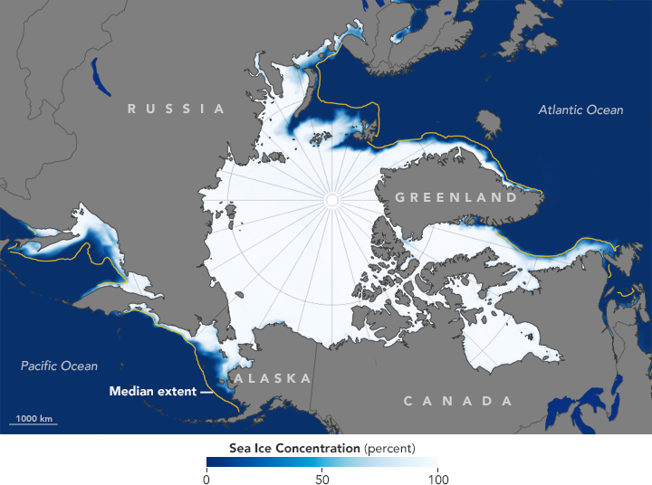 Leisurely January Growth for Arctic Sea Ice 