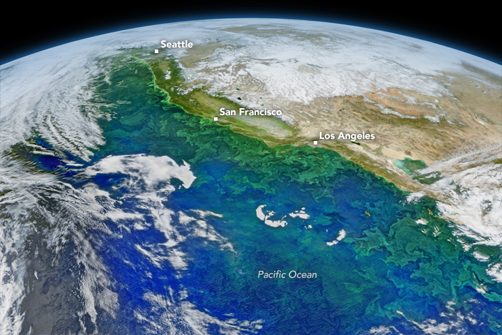 California Coastal Current