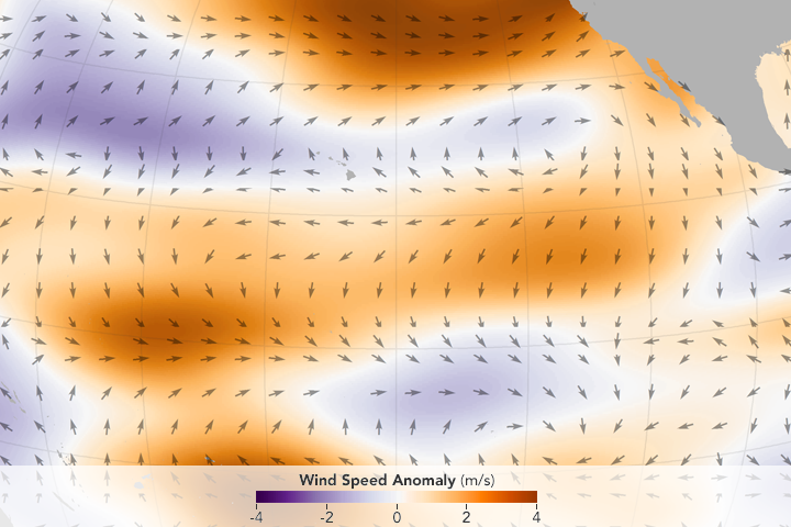 El Niño’s Shifting Winds  - related image preview