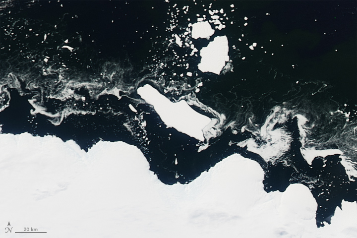 Antarctic Berg Shifts, Sea Ice Responds  - related image preview