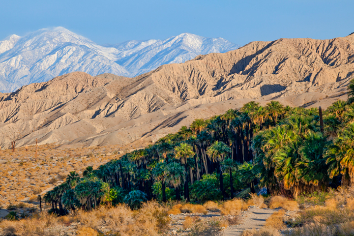 A Monumental Addition in California - related image preview