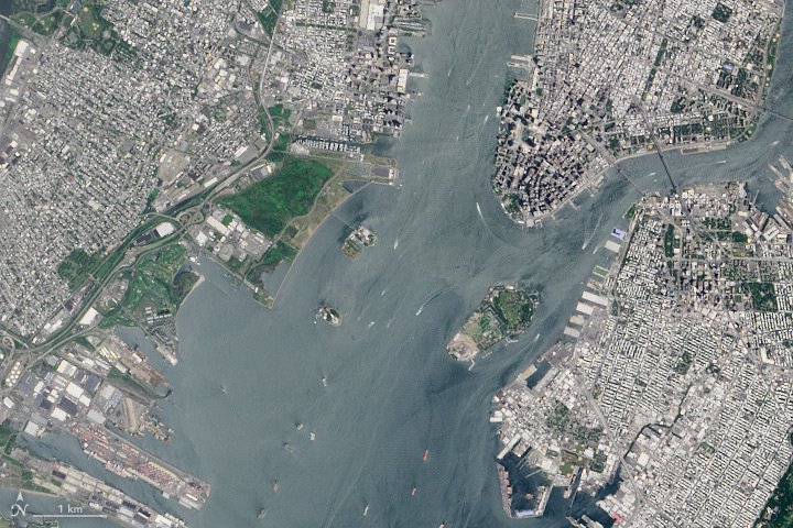 Statue of Liberty and Ellis Island  - related image preview