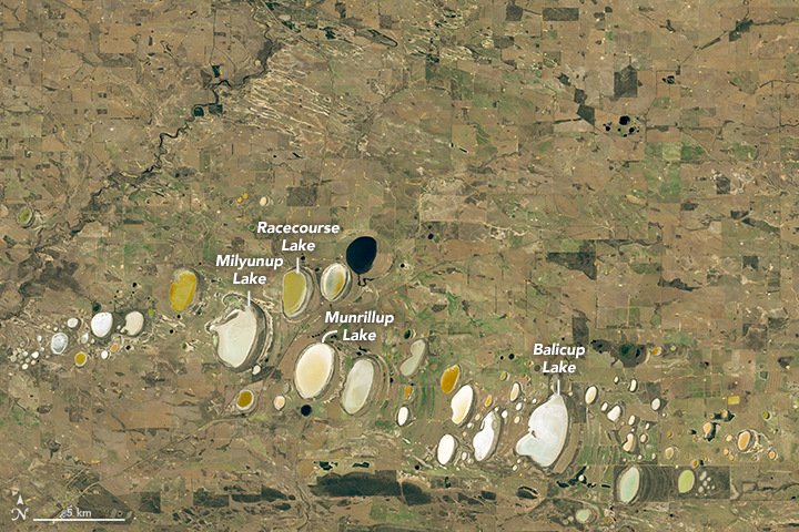 Colorful Salt Lakes in Western Australia 