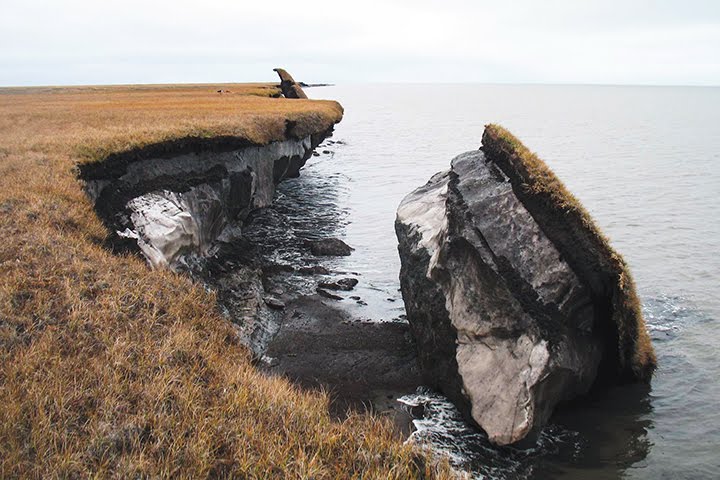 Picturing Arctic Permafrost   Alaska Coastal Permafrost 