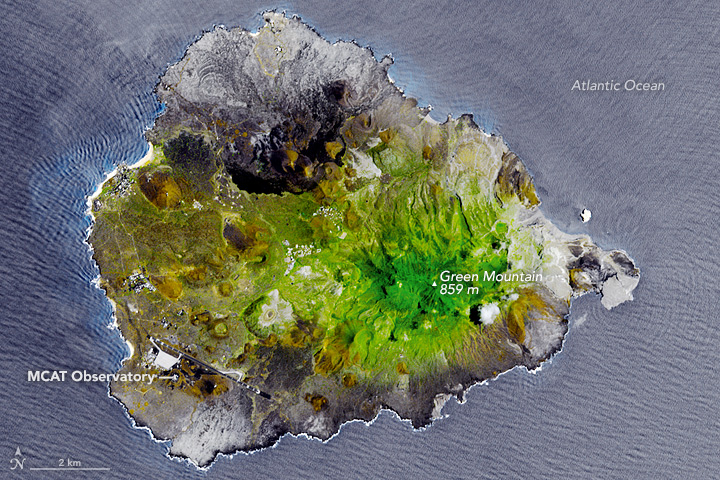 Greening Ascension Island
