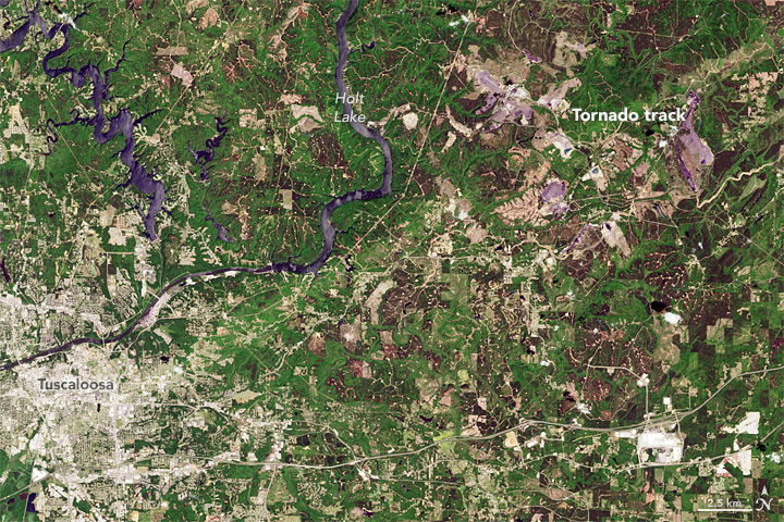 Tuscaloosa Tornado Track Fades