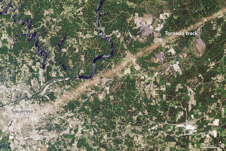 Tuscaloosa Tornado Track Fades