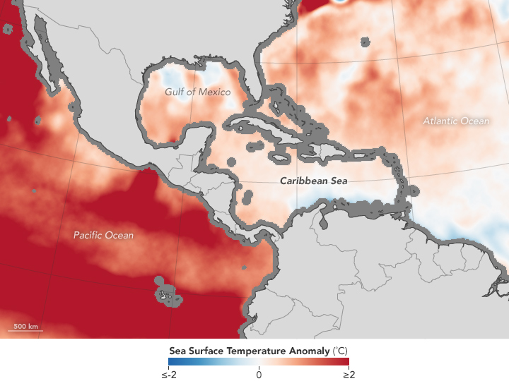 Warm Seas Lead to Extensive Coral Bleaching - related image preview