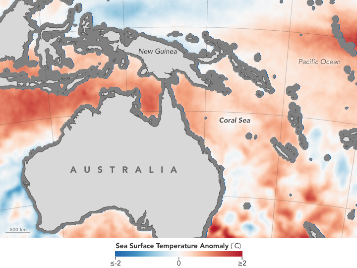 Warm Seas Lead to Extensive Coral Bleaching