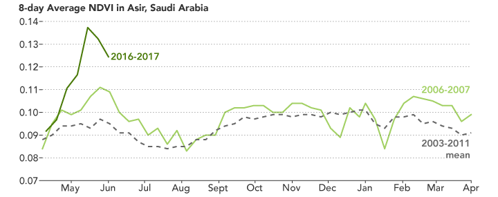 Arabian Peninsula Primed for Rift Valley Fever  - related image preview