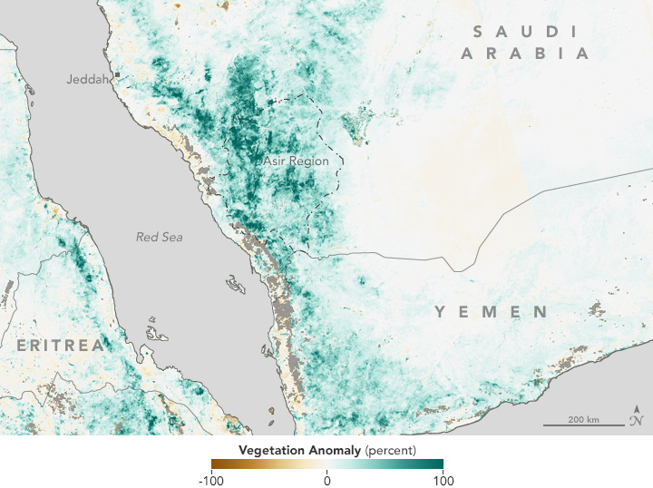 Arabian Peninsula Primed for Rift Valley Fever 