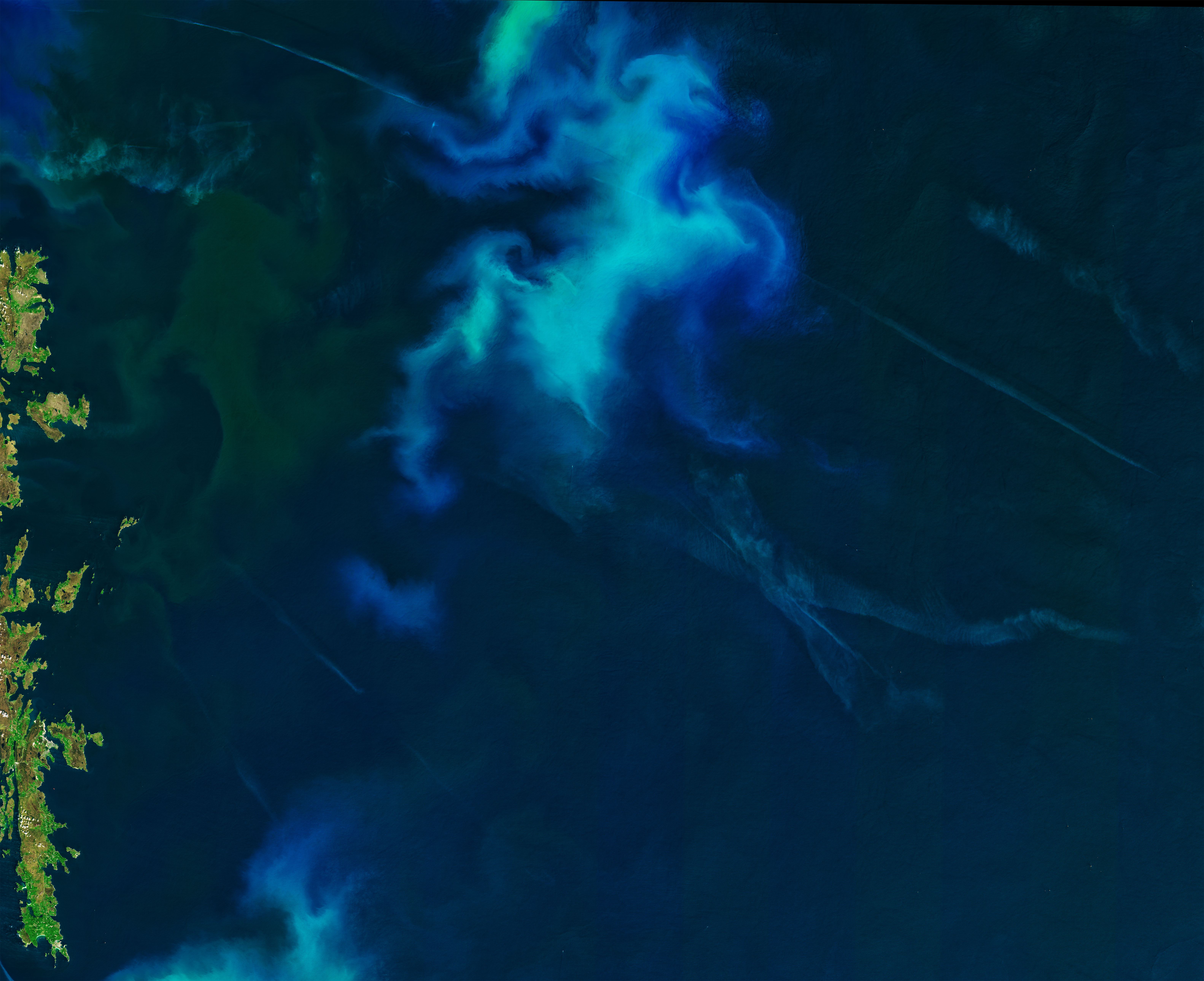 Phytoplankton in the North Sea - related image preview