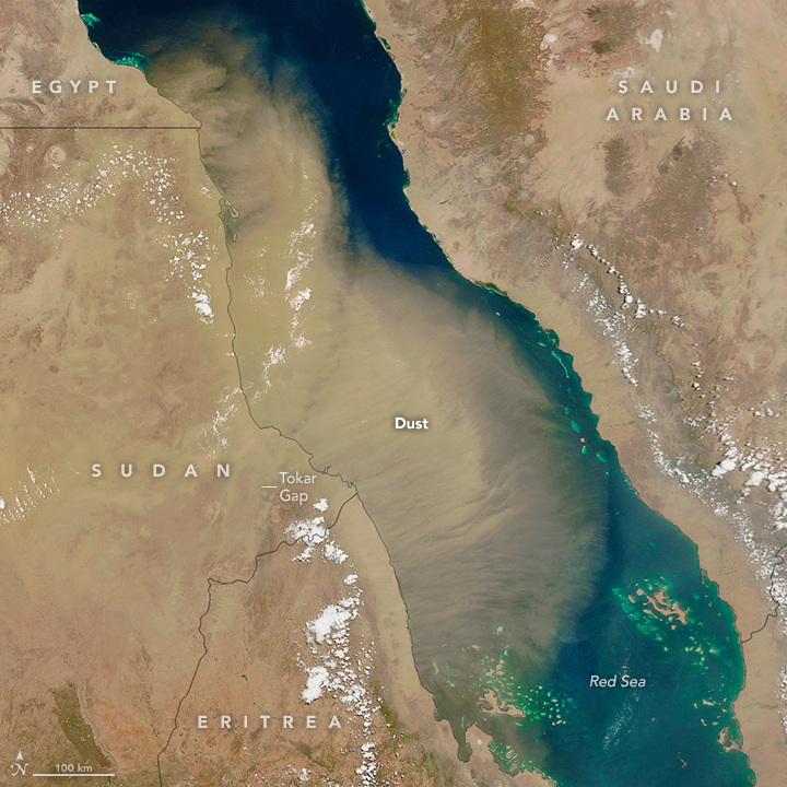 Dust Over the Red Sea