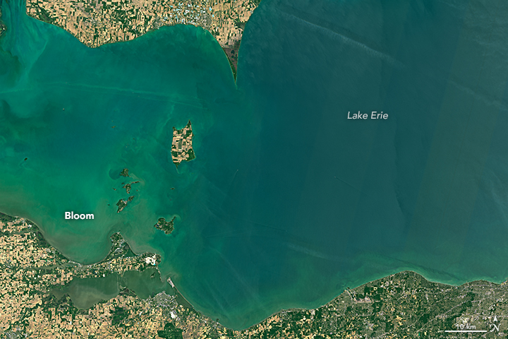 Spring Colors in Lake Erie