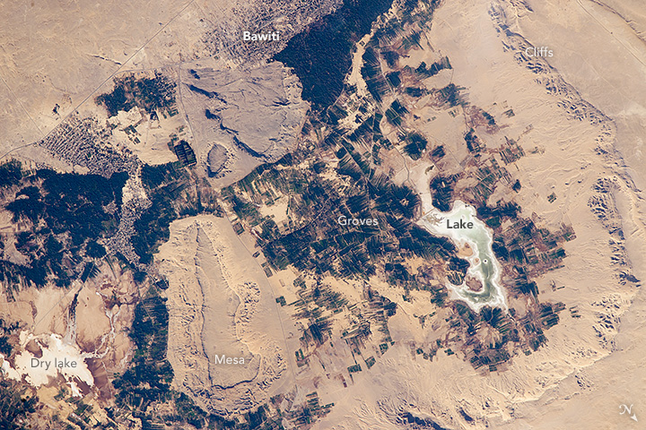 Bahariya Oasis - related image preview