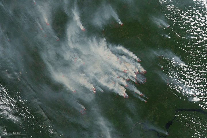 Wildfires Rage in Siberia - related image preview