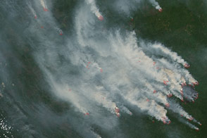 Wildfires Rage in Siberia