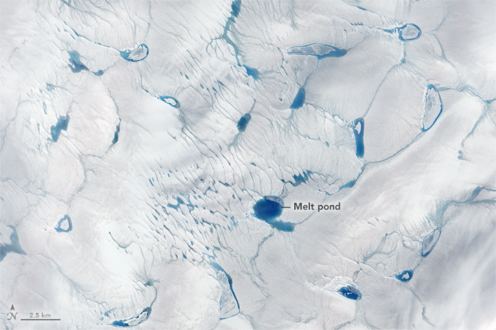 Early Melt on the Greenland Ice Sheet