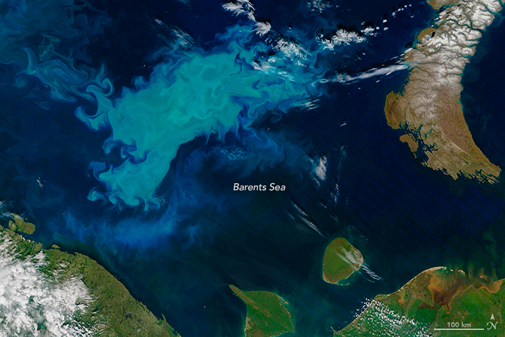 The Barents Sea Abloom - related image preview