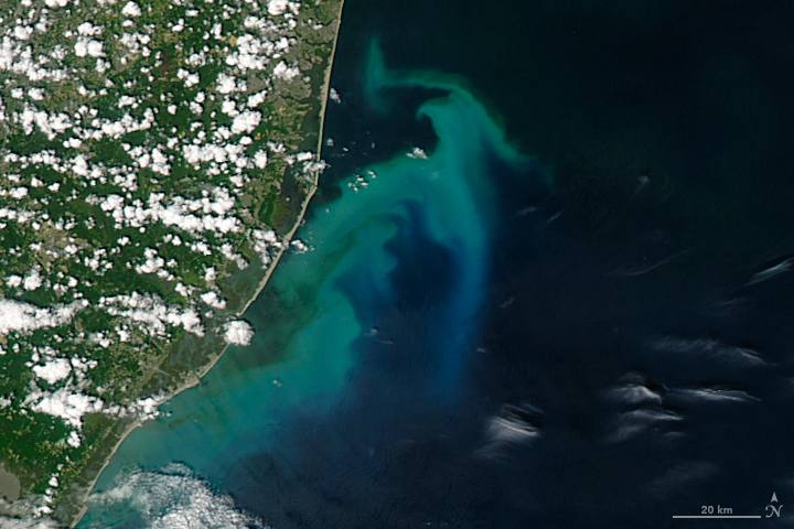 Phytoplankton Bloom off New Jersey - related image preview