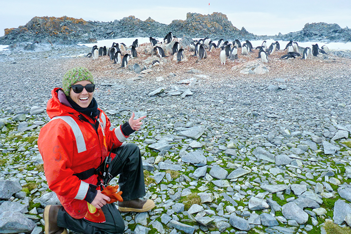 Climate Change May Shift or Shrink Penguin Habitat - related image preview