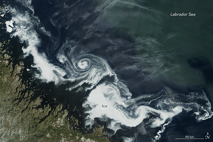 Swirls of Ice in the Labrador Sea