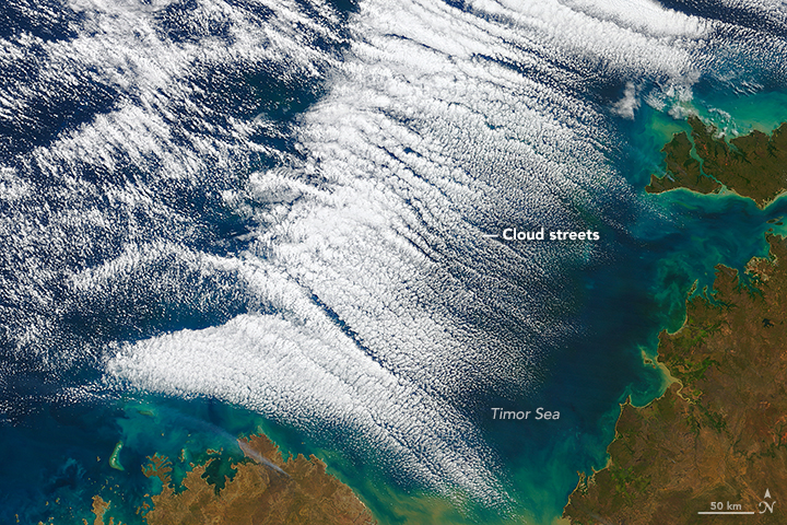 Cloud Streets Over the Timor Sea